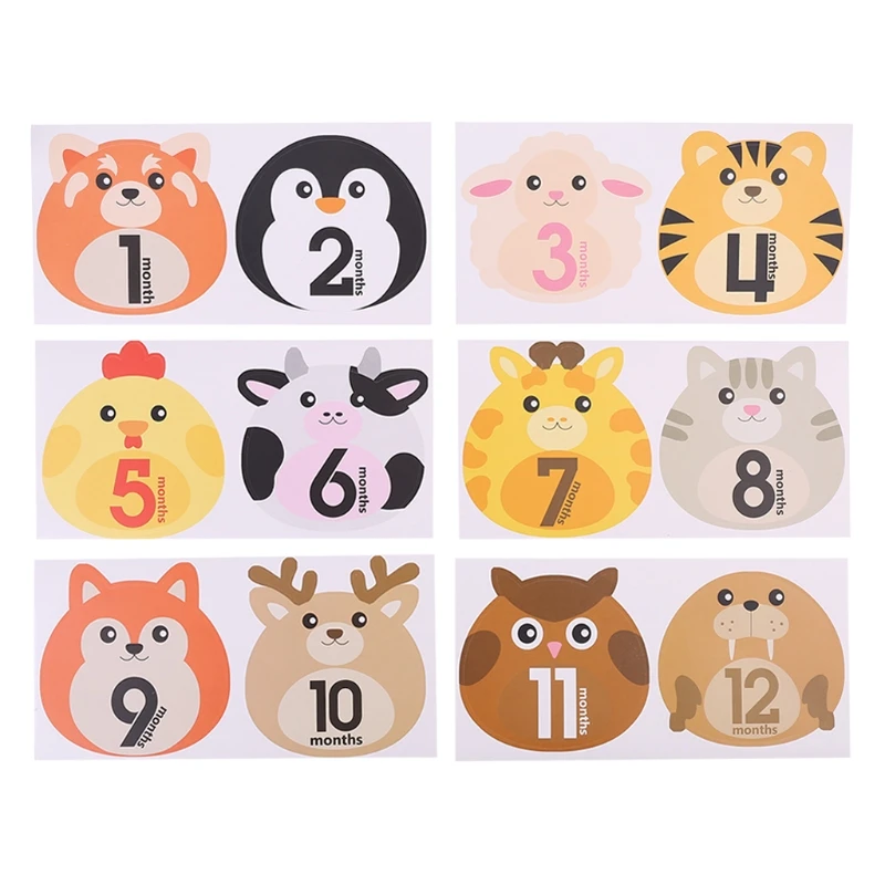 

Baby Photography Props Photo Stickers Newborn Infant Monthly Milestone Sticker