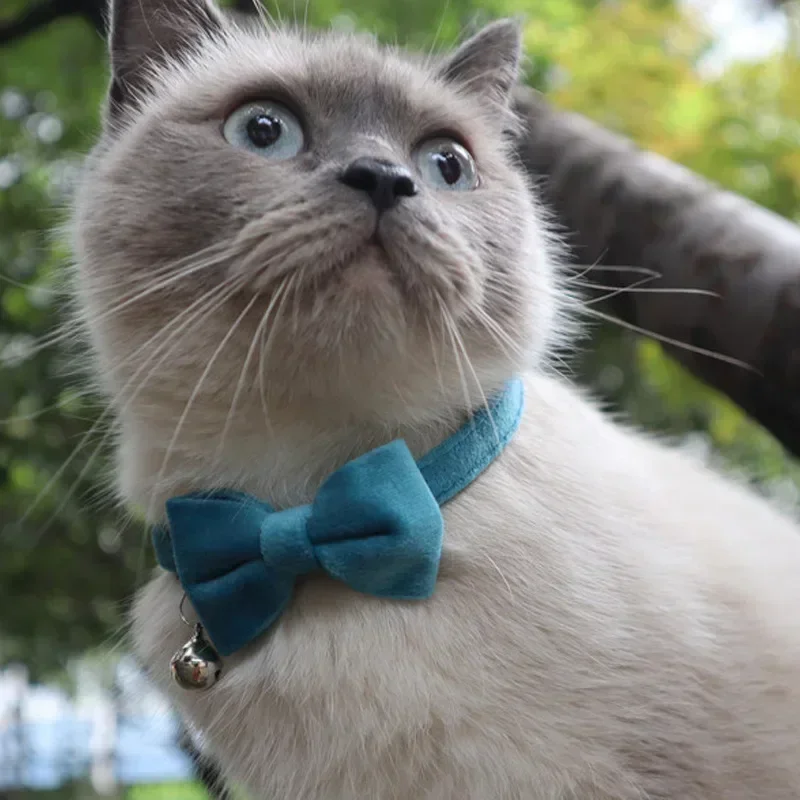 

Pet Collars Pet Bow Bell Collars Cute Cat Collars Pet Supplies Adjustable Pets Dressing Tool Pets Accessories