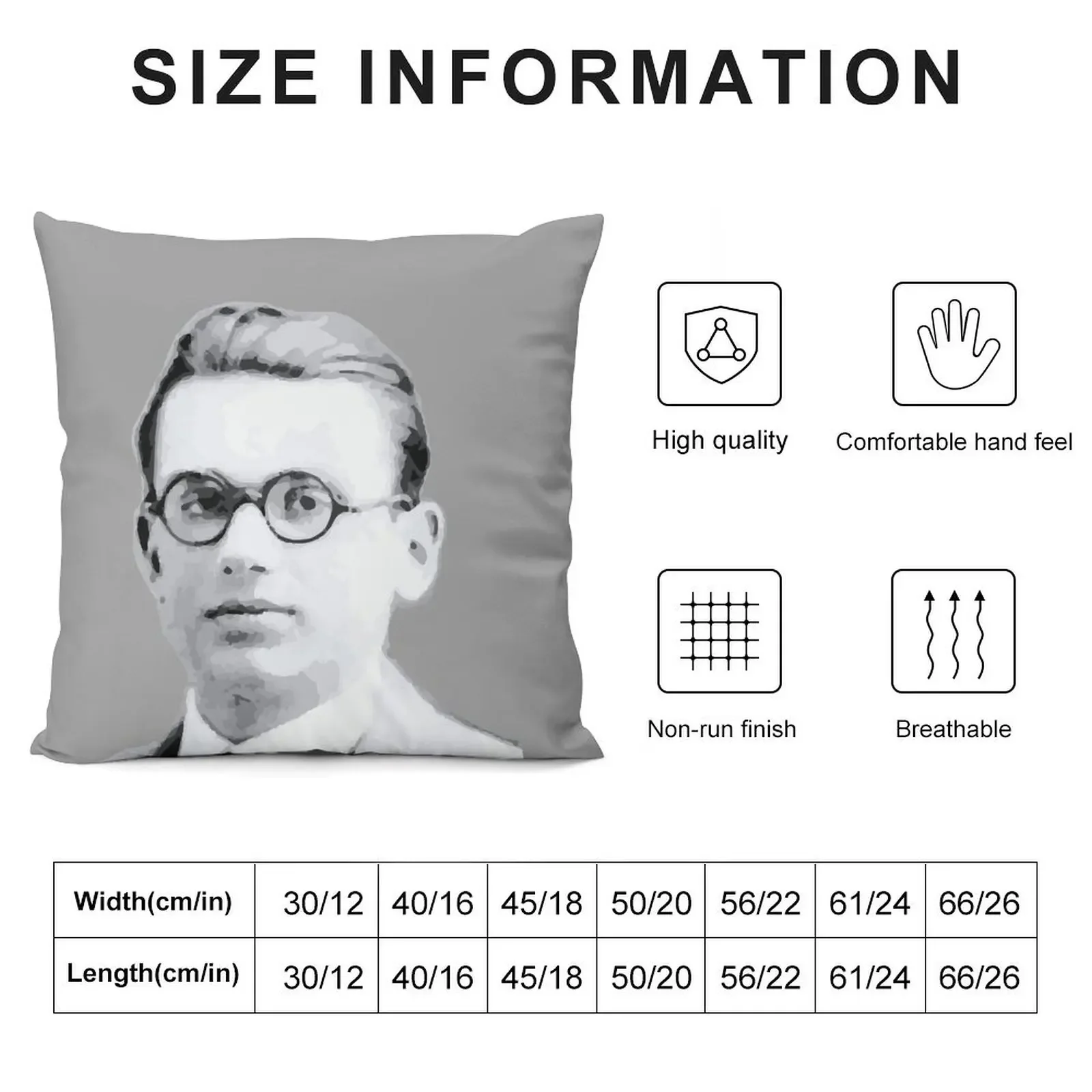 Portrait of Kurt G?del black White 1925 Throw Pillow Pillowcase Cushion Cushions Home Decor pillow