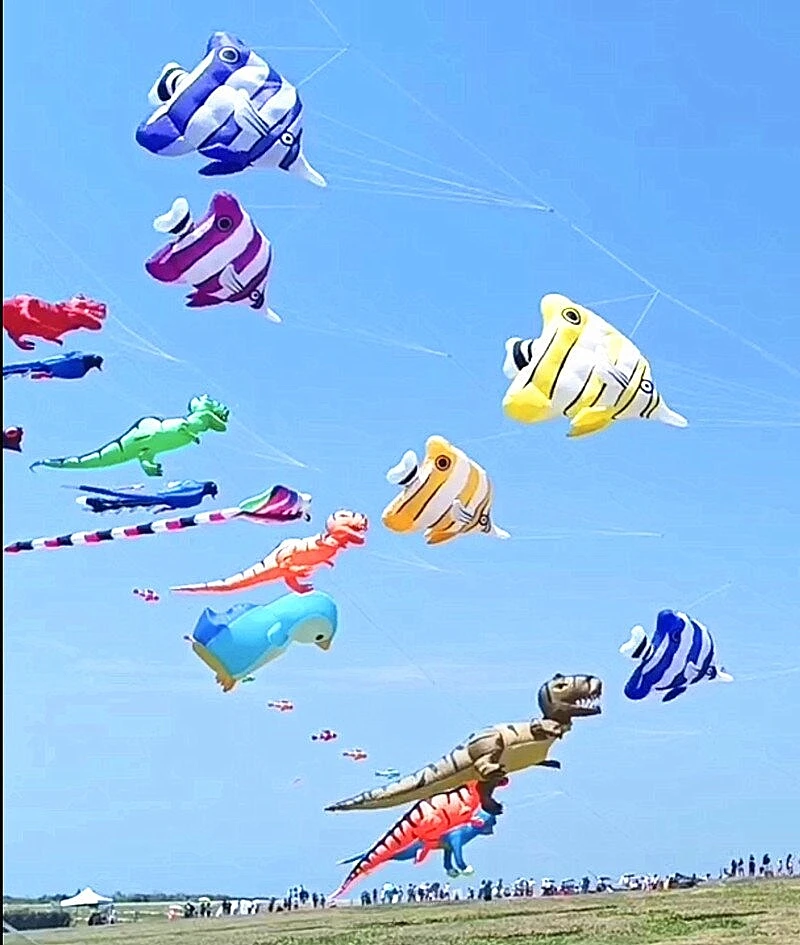 3.5m pesce aquilone ciondolo aquilone maniche a vento aquiloni gonfiabili giocattolo all'aperto sport per adulti drachen fliegen erwachsene kevlar seriale divertente