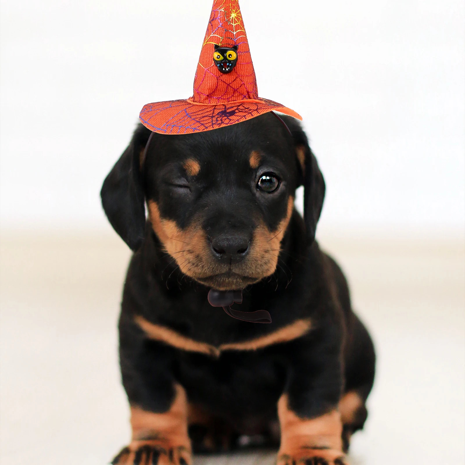 

2Pcs Witch Hat Headb Halloween Themed Pet Hairb Dog Headdress Durable Fabric Party Costume Photography Prop Long Term Use