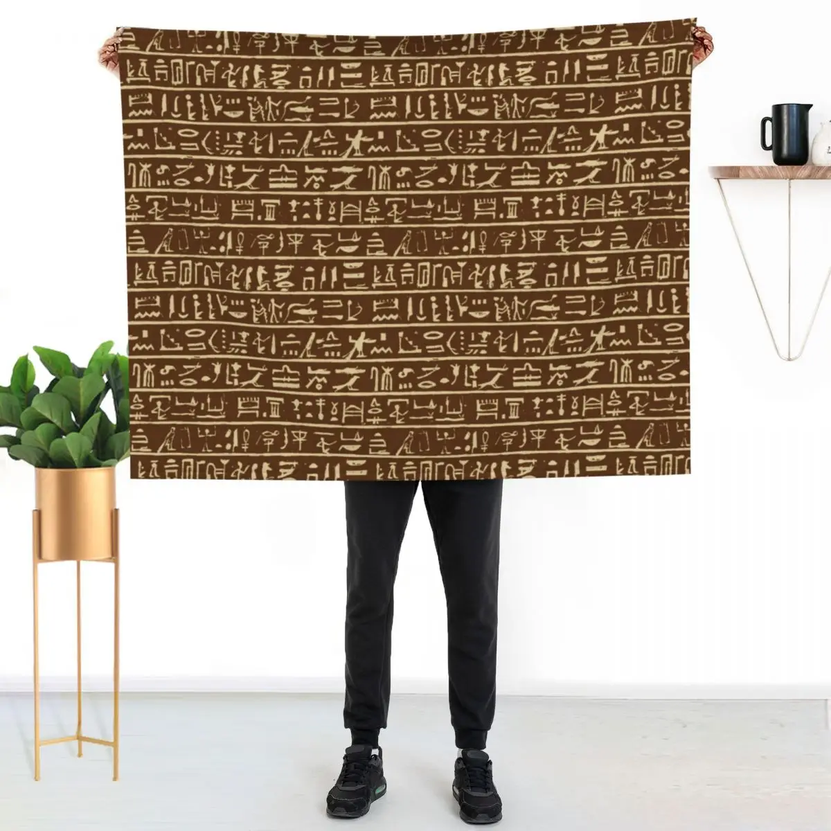 Egyptian Hieroglyphics // Brown Throw Blanket For Baby Soft Beds warm winter Bed covers Decorative Sofa Softest Blankets