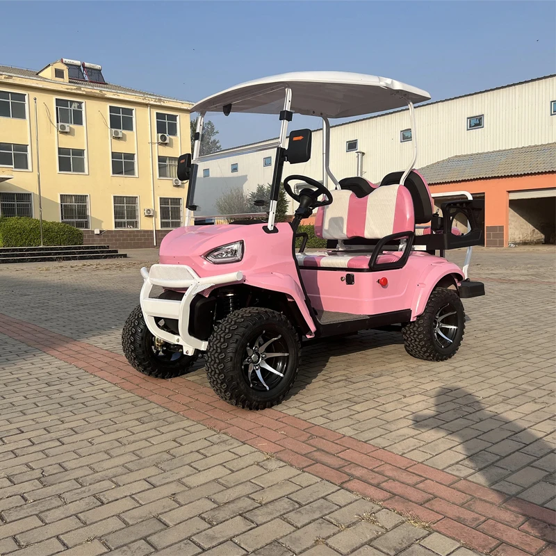 Brand Hunting Car with Bumper 2 4 6 seat Electric Lifted Golf Cart for Sightseeing ClubGolf Cart