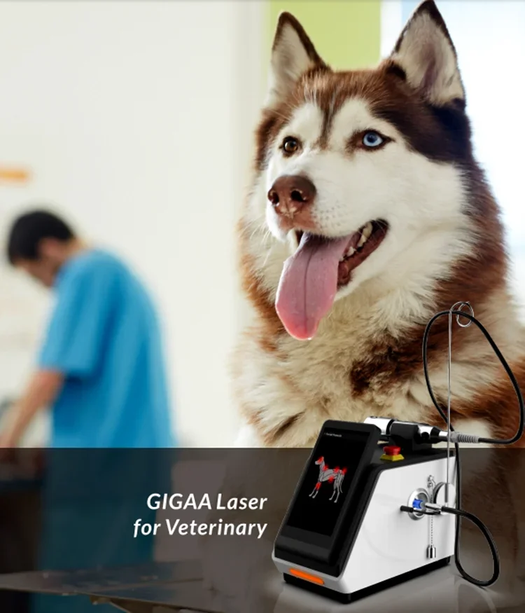 HD Full Color Touch Screen ClasslV Laser Therapy 4 Wavelengths Vet Laser Equipment Veterinary Instrument With Travel Case