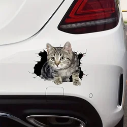 [Popular Choice] 3D Cars, SUVs, Motorcycles and Laptop Cat Stickers - Scratch Resistant Decals for Windows and Bodies