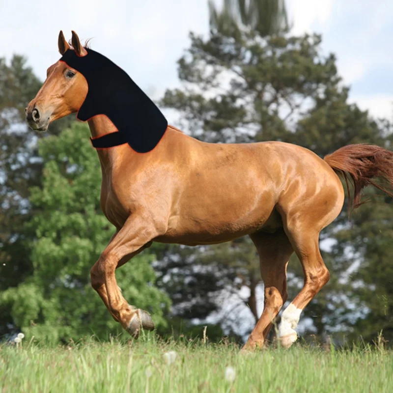 Built-in Battery 660nm 850nm Red Led Grow Light Therapy Equine Poll Cap with Neck Infrared Light Therapy Horse Bonnet for Repair
