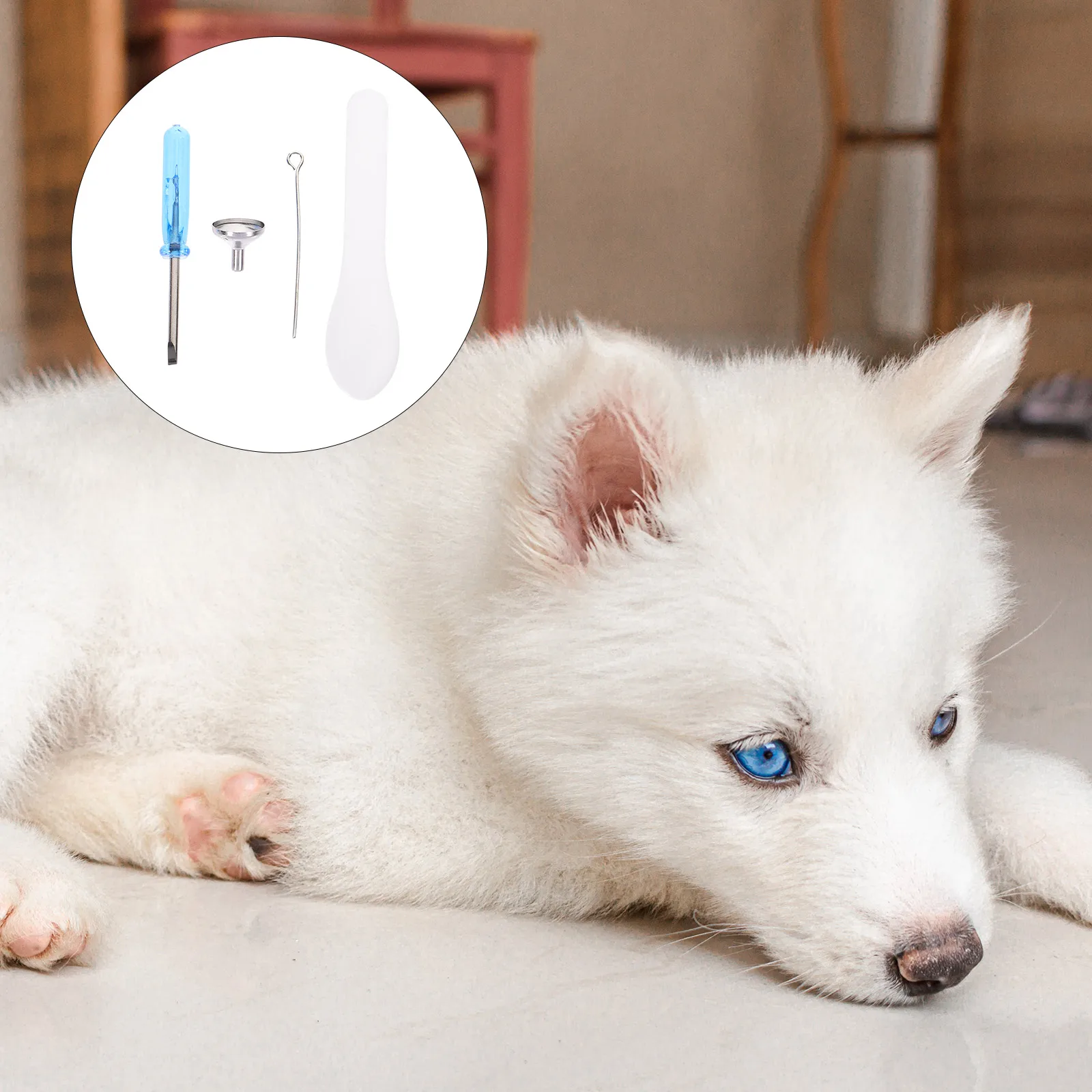 1 set 1 Set Steel Mini Funnel Filling Kit Tiny Funnels For Filling Small Urn Blue Screwdriver Small Funnels Urn Accessories