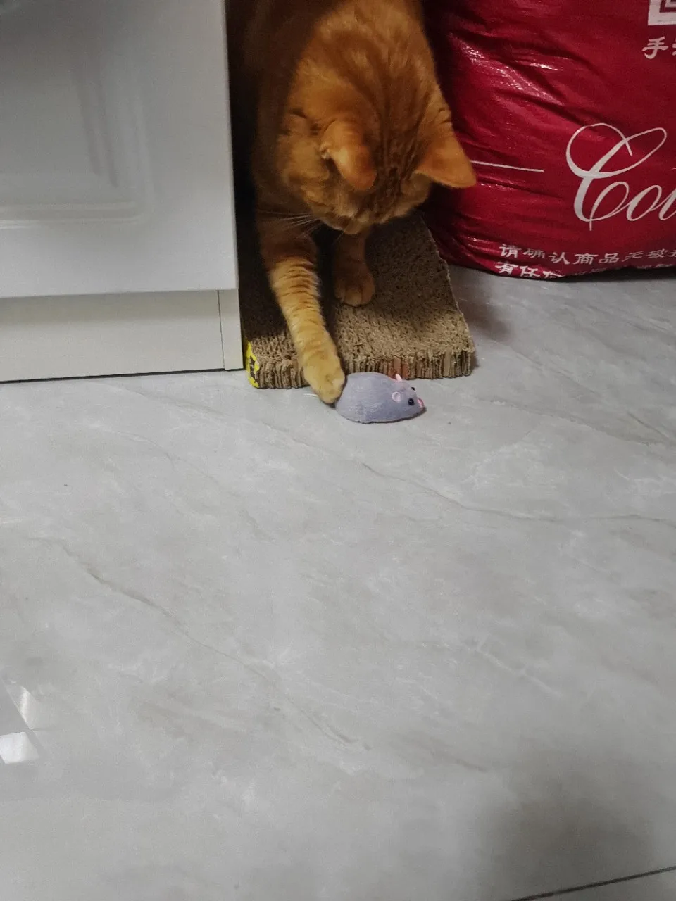 لعبة ماوس محاكاة من القطيفة بالأشعة تحت الحمراء - نموذج فأر عن بعد لاسلكي رائع للتدريب الداخلي للقطط، هدية مستلزمات الحيوانات الأليفة الجديدة