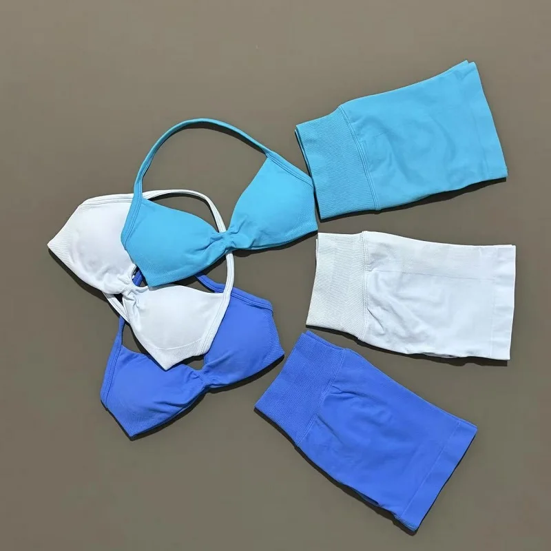 2 Piece Sport Set Women Seamless Yoga Tank Bra High Waist Scrunch Bum Gym Shorts Sets Fitness Running Workout Suit