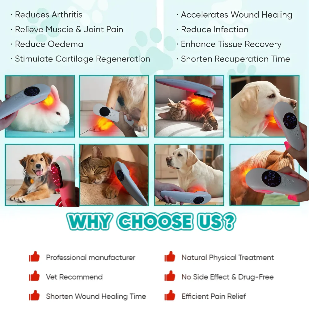

Veterinary Cold Laser Near Infrared Light Therapy Instrument for Dog Cat Horse Pain Relief and Muscle Recovery