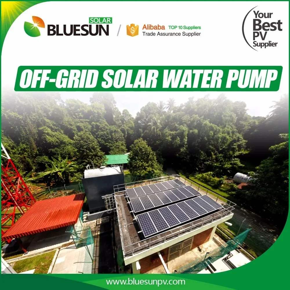Bluesun Solar Water Pump System  for Agricultural Irrigation Customizable Solar Water Pump