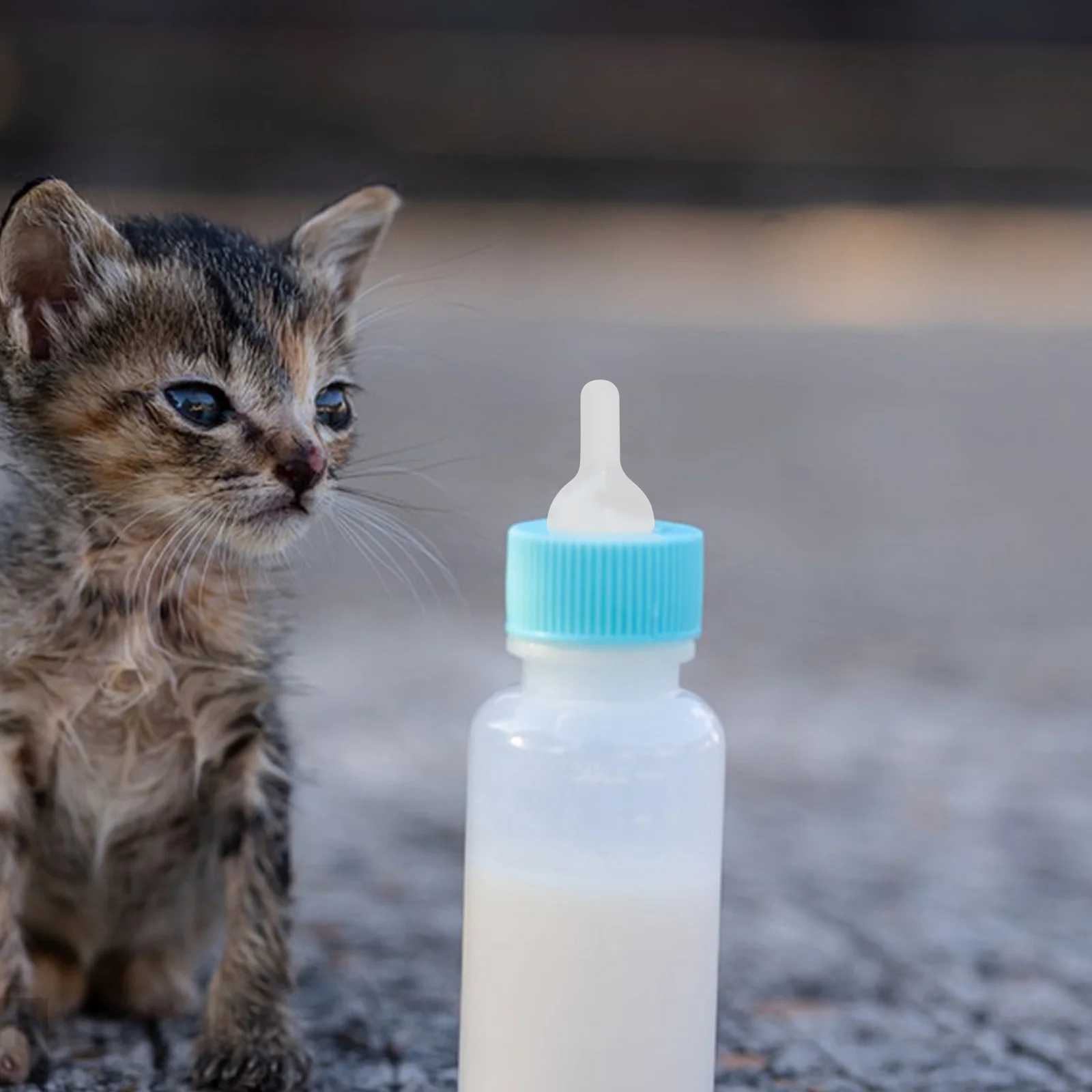 

50Pcs Cat Suckling Pacifier Compatible Most Bottles Dog Feeding Nipple Travel Friendly Pet Feeding Tools Accessory