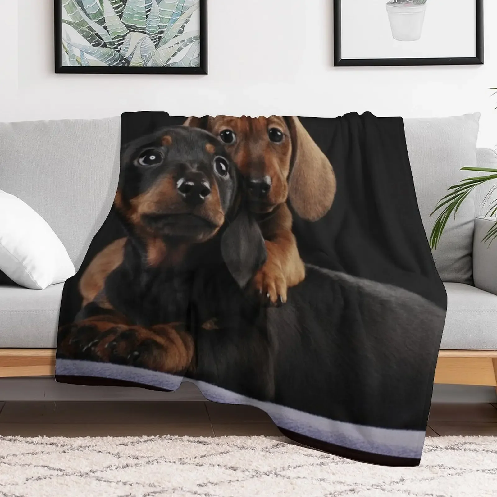 Dachshund Dog portrait photo pupies Throw Blanket Nap warm winter Softest decorative Blankets