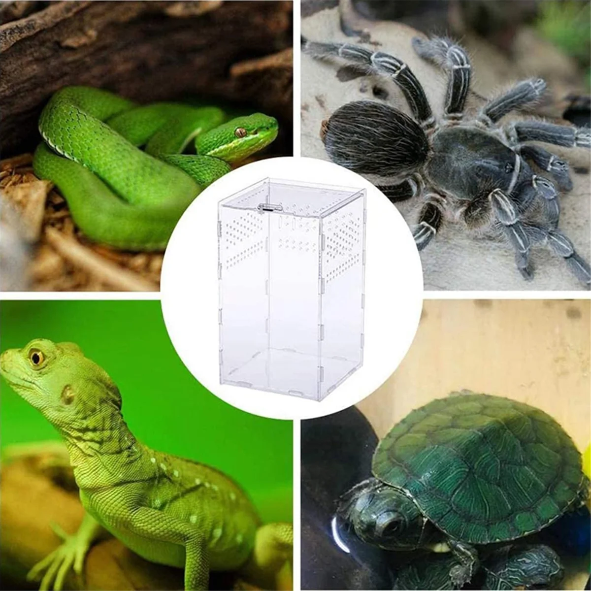 

【2025-Electronics】{Acrylic Reptile Terrarium - Transparent Breeding Box Insect Feeding Cage with Arboreal Enclosure