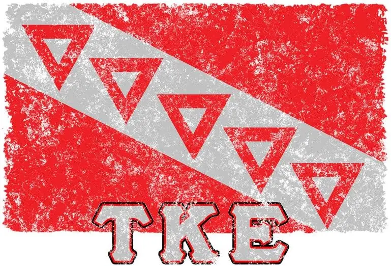 Tau Kappa Epsilon Vintage Distress Group Flag Print T Shirt