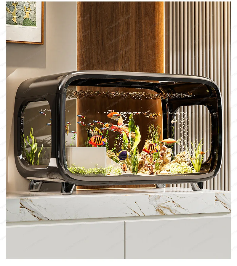 Creative Desktop Ecological Fish Tank - Transparent with Lid, Mini Aquarium for Betta Fish or Shrimp
