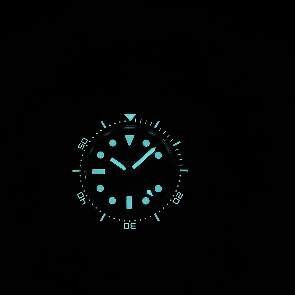 STEELDIVE 2025 New Automatic Watch SD1929 300M Waterproof Ceramic Bezel BGW9 Blue Luminous Markers Business Mens Dive Watches