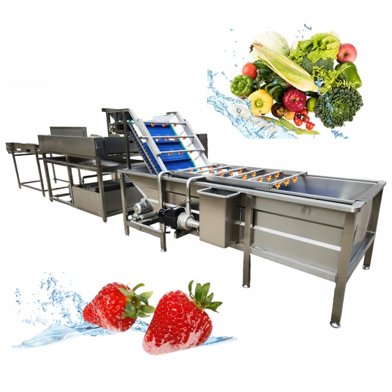 Industrial Air Bubble Cleaning Machine Commercial Ozone Vegetable Washer for Leafy & Root Vegetables