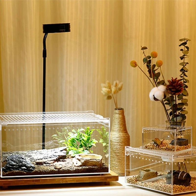 Acrylic Cage Breeding Box Terrarium Clear Feeding Habitat for Snake Small Pet Isopods Lizards Roaches Insect