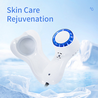 Cold Hammer Blue Light Facial Skin Lifting Tighten Ice Healing Beauty Machine Led Photon Rejuvenation Massager Shrink Pores