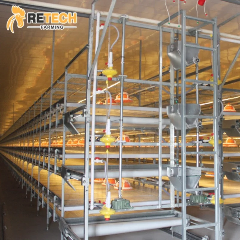 良い価格のH型養鶏設備、ブロイラーバッテリーチキンケージ販売