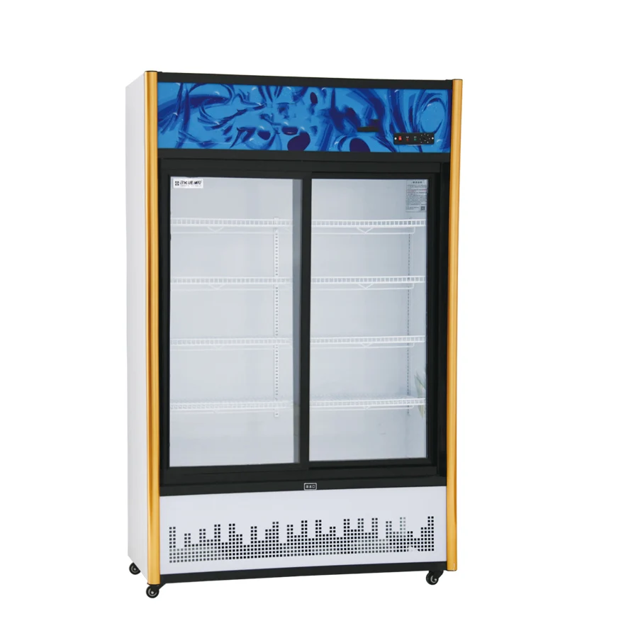 Refrigerator Equipment Factory 2 Door Commercial Refrigerator Freezers Refrigerators Display Cooler 2025