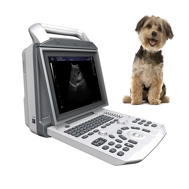 Factory Price Laptop Black And White Ultrasound Machine for human and vet