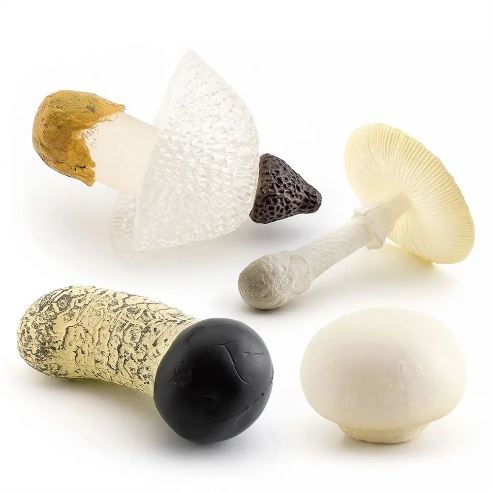 Modelo de vegetales, figuras de hongos, miniaturas de paisaje, Matsutake Oyste, simulación de setas, juguete de enseñanza, modelo de hongo Artificial