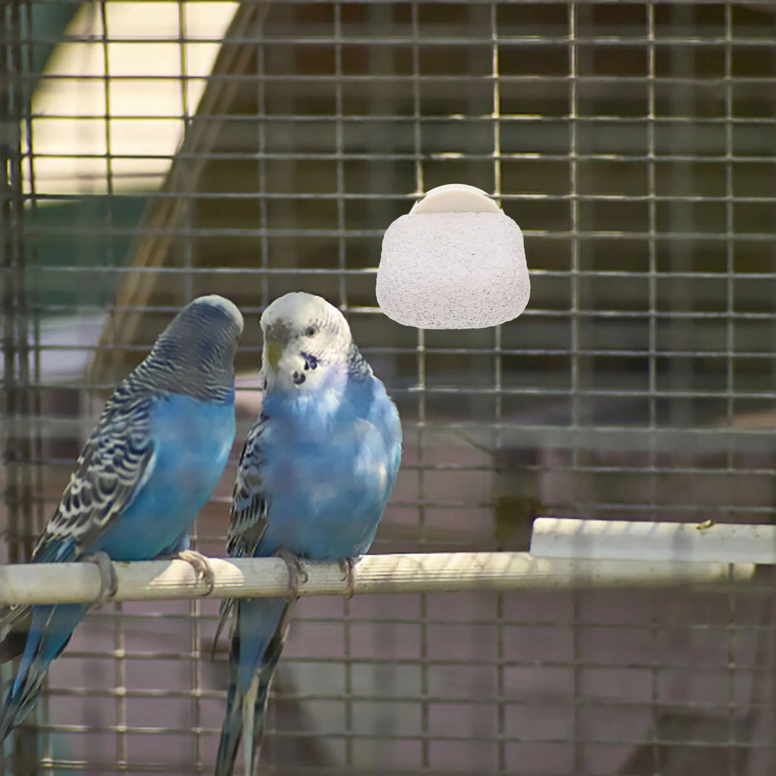 

Parrot Perch Paw Grinding Platform Balanced Exercise Stand Bird Cage Mount Bird Perch for Parakeet Cockatiel Cockatiel Toys