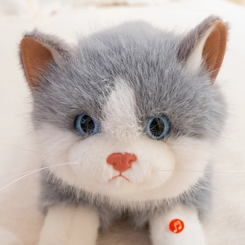 Simulatie Ligge gevoelig Houding Katten Marionet Knuffels Gevuld Zacht Dier Kat Poppen voor Kinderen Baby Verjaardagscadeautjes Home Decor