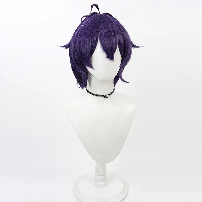 I Wanna Be a Magical Girl Mebuki Itsuki Cosplay Wig Dark Purple