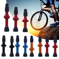 Bicycle Presta Valve for Road MTB, Tubeless Tires, Brass Core, Alloy Stem, Tubeless Rim, Nipples, 48mm, 60mm, 1pc