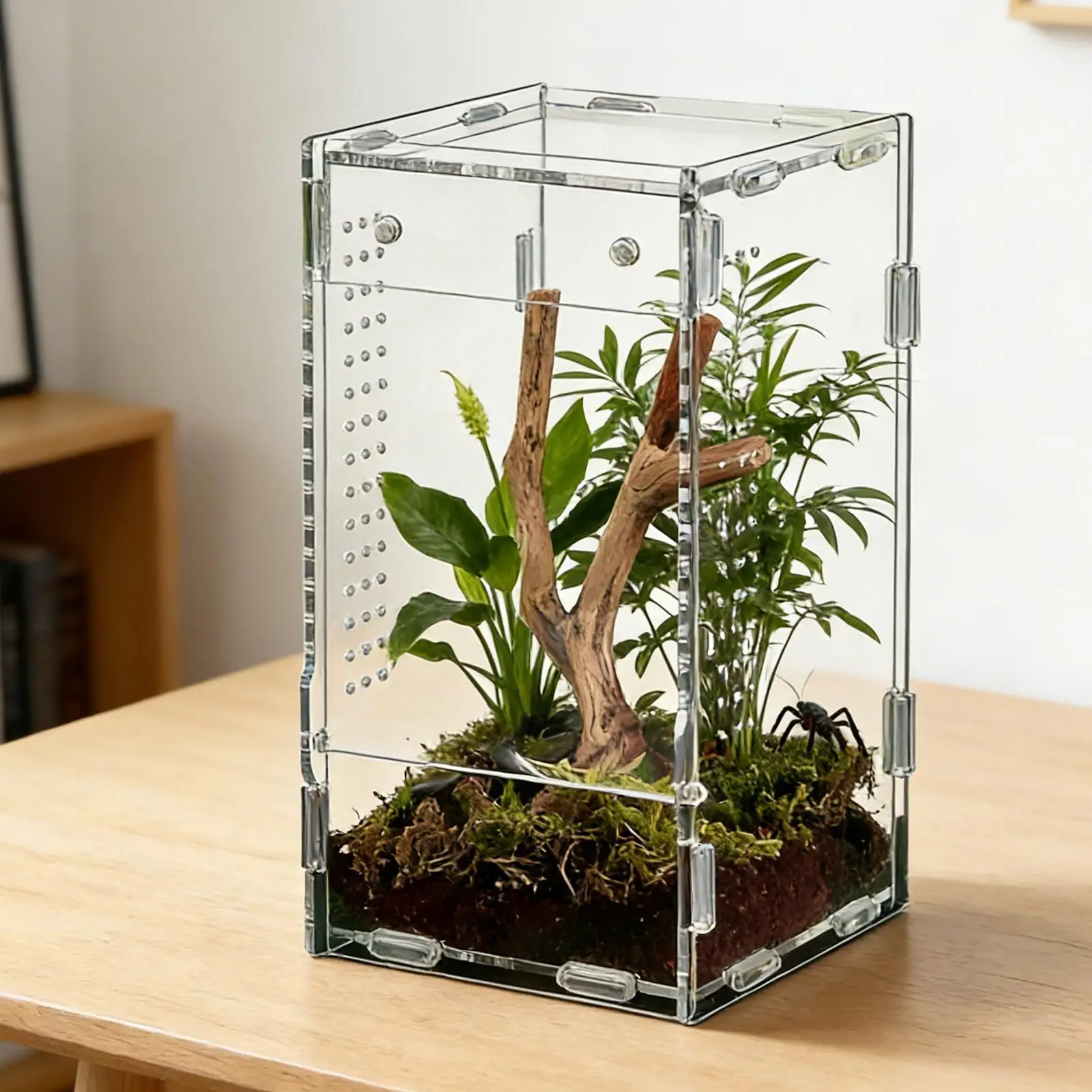 Acrylic Jumping Spider Enclosure Escape Proof Reptile Feeding Tank Ventilated Transparent Reptile Habitat Front Opening