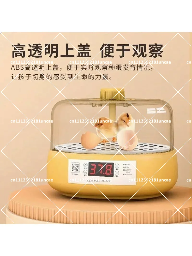 Small Smart Automatic Egg Incubator for Lovebird Parrot Chicken Hatchery Machine Water Bed Home Use