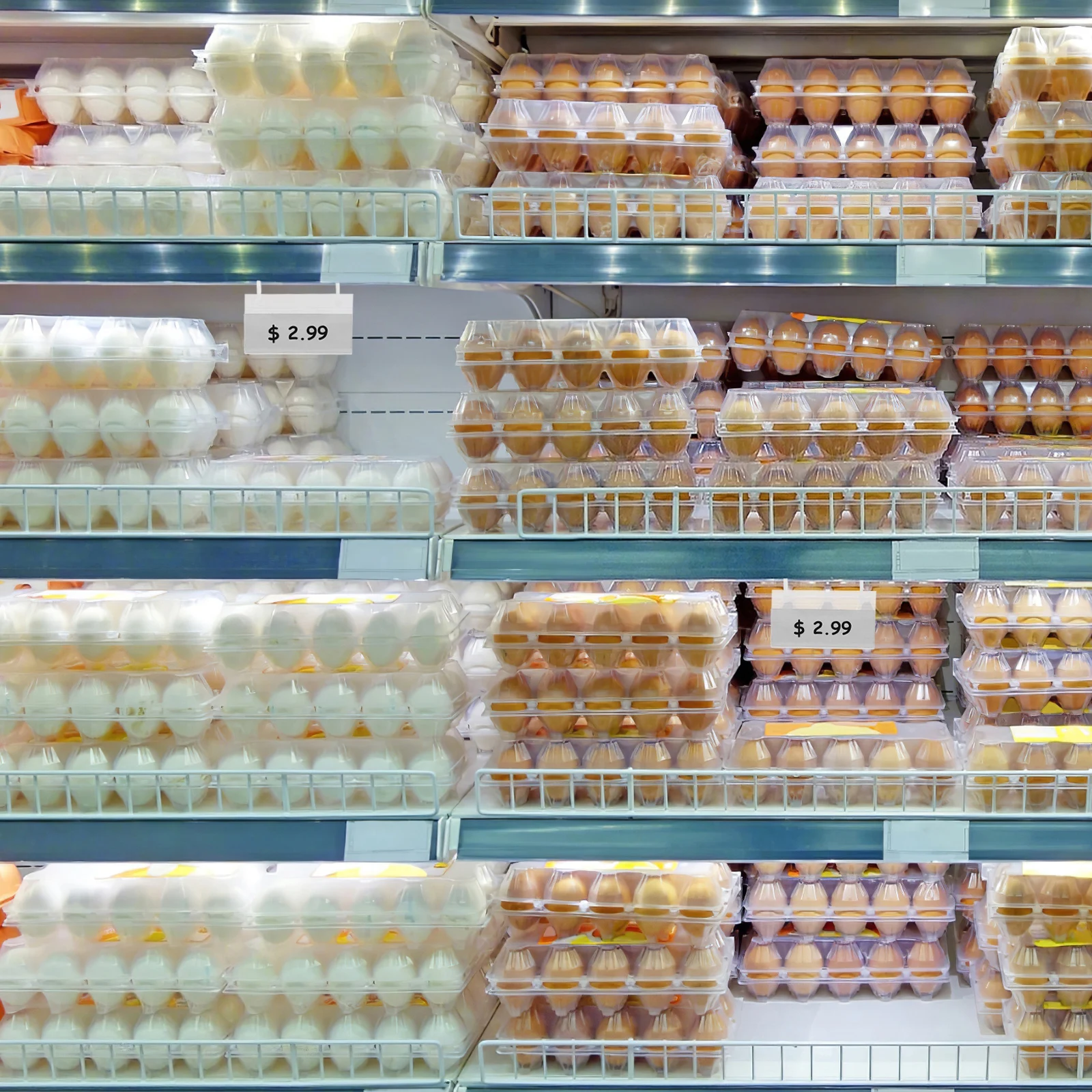 

1 set Easy Snap Locking Plastic Basket Label Holders Clear Pvc Tag Holders For Supermarkets Warehouses Pantries Price Tags