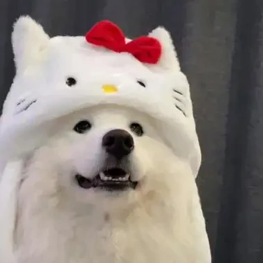 

Destroyer skull pickup truck off-road car door window glass decoration very cool car motorcycle sticker