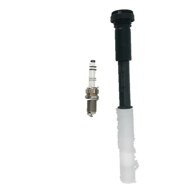 

Original Parts Ignition System Maintenance Package Spark Plug 7000000282 1003373173 1002513134