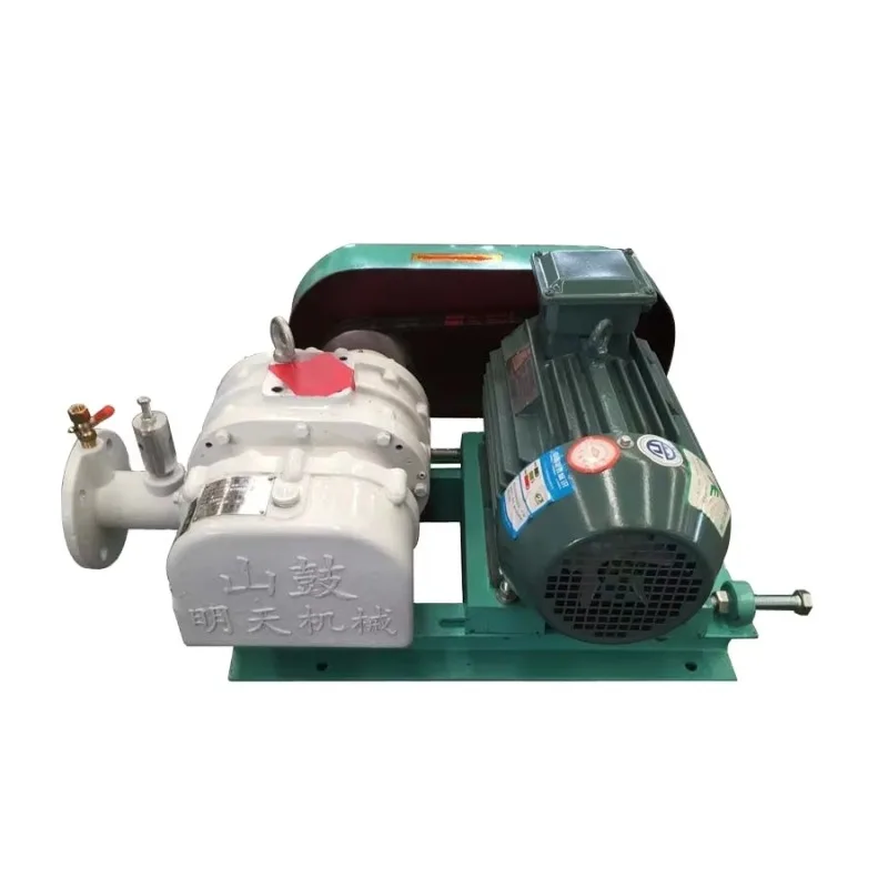 

Электрический роторный компрессор (чугунный) для доильных систем, высокое давление, переменный ток