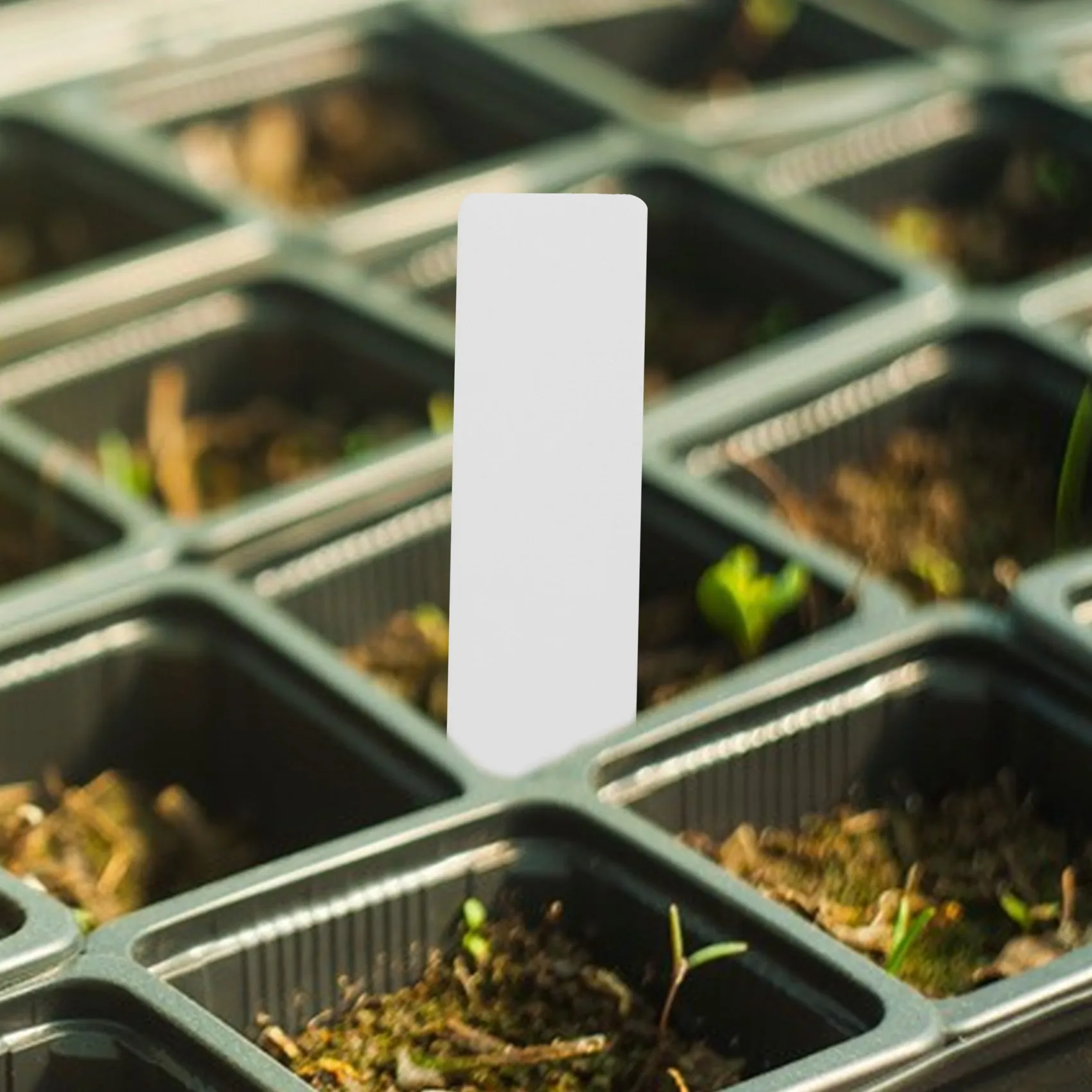 Sales! 500 Pcs Reusable Pvc Plant Tag Label Tree Fruit Seedling Garden Flowerpot Plastic Label Sign Sorting Tool