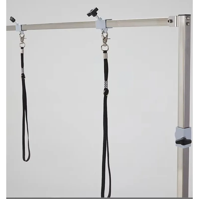 Stainless Steel Safe Electric Lifting LED Pet Grooming Table With Remote Control Light & Built-in Socket For Pet Salon