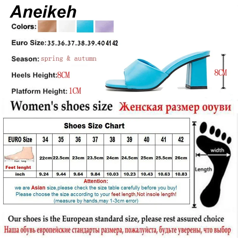 Aneikeh 2024 New Women Slipper Summer Outdoor Sandal Mules Square High Heel Slip On Flip Flop Elegant Women Slides Sandals