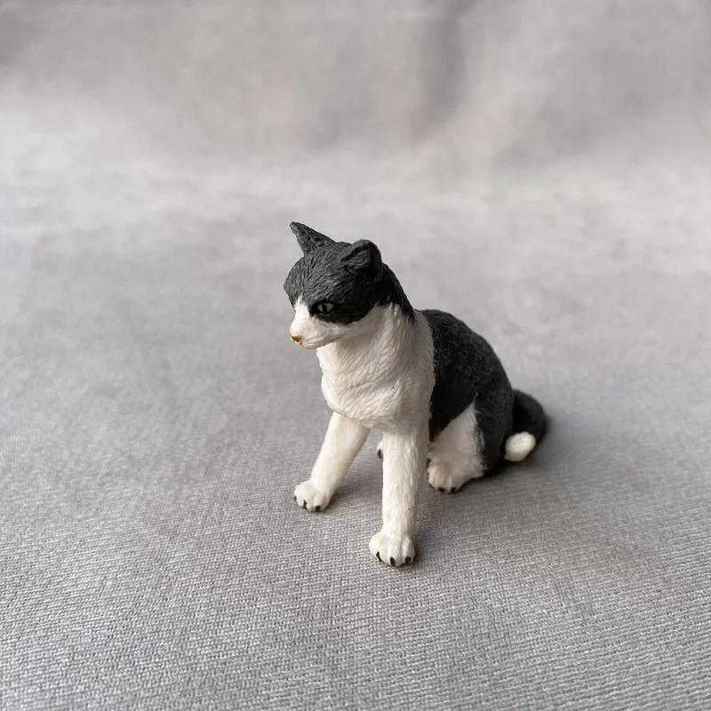 Bandai-Figurines d'action pour animaux de compagnie japonais, jouets de simulation de ferme, chaton orange, chaton noir et blanc, modèle à l'échelle véritable, quelque part