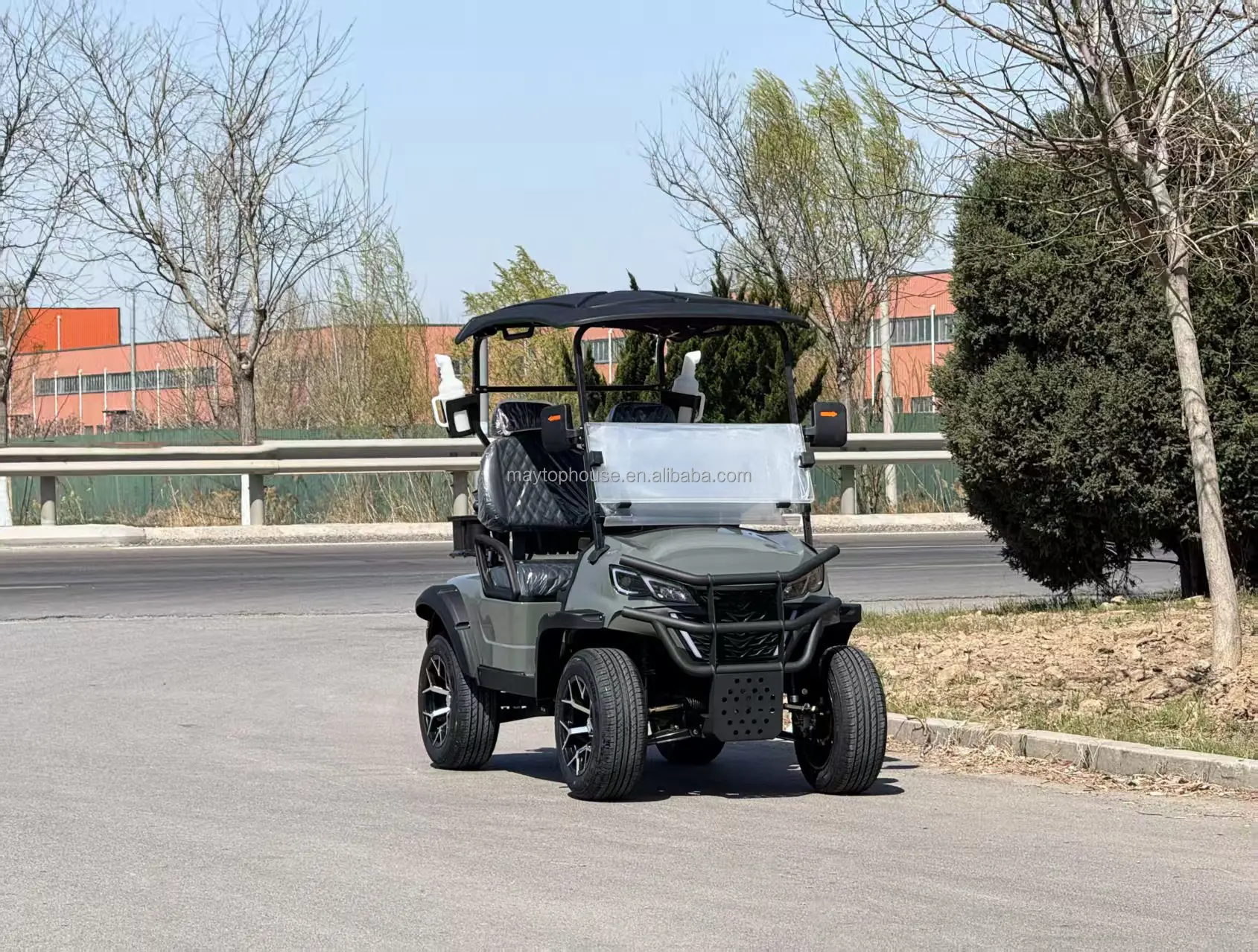 Factory price 2 person golf cart electric car ce certification