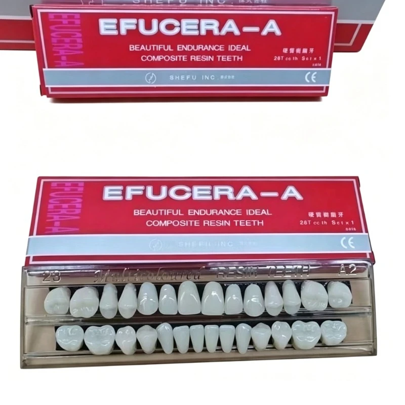 15 Kits 28teeth Resin Denture Teeth Full Set Acrylic Denture Upper/Lower Shade A2/A3 False Tooth Dentistry Education Model