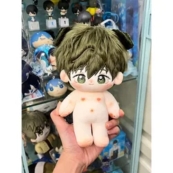 무료 20cm 나나세 하루카 다치바나 마코토 애니메이션 피규어, 부드러운 봉제 인형, Pp 코튼, 컬렉션 장식 룸, 카와이 인형 장난감