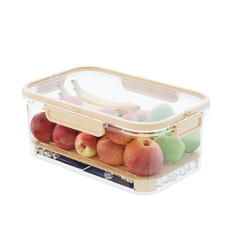 Dual Layer Leakproof Food Storage Container Portable Fridge Organizer Box for Fruit Snack Picnic