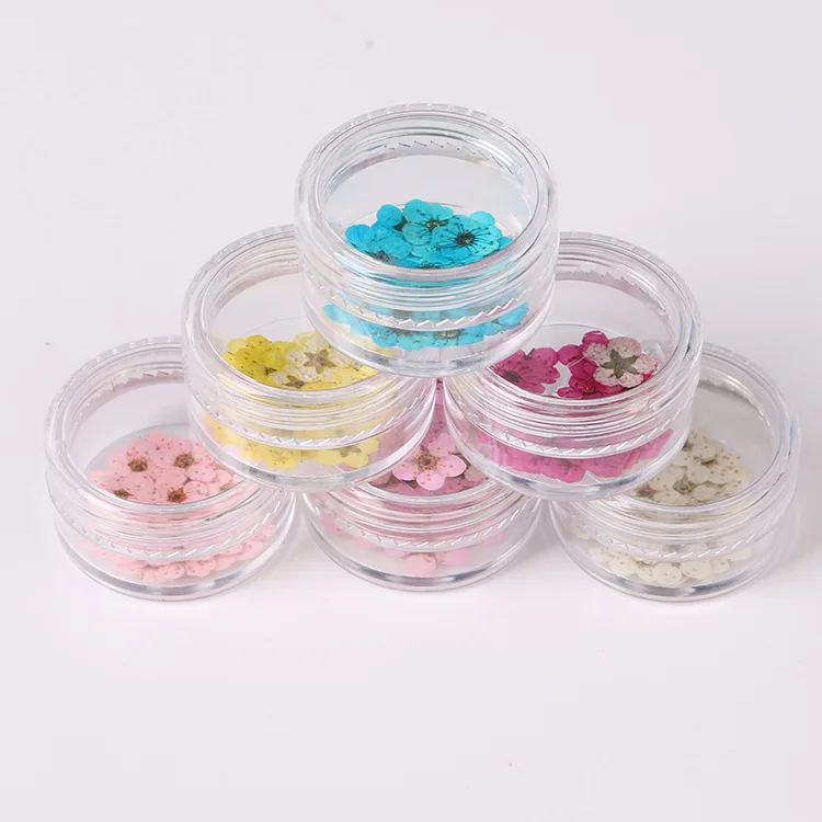 

100Pcs Nail Art Decorations, Colorful Handmade Materials, Mini Daffodils, Small Plum Blossoms, Dried Flowers, Pressed Flowers, DIY Resin Materials, Phone Case, Bookmarks