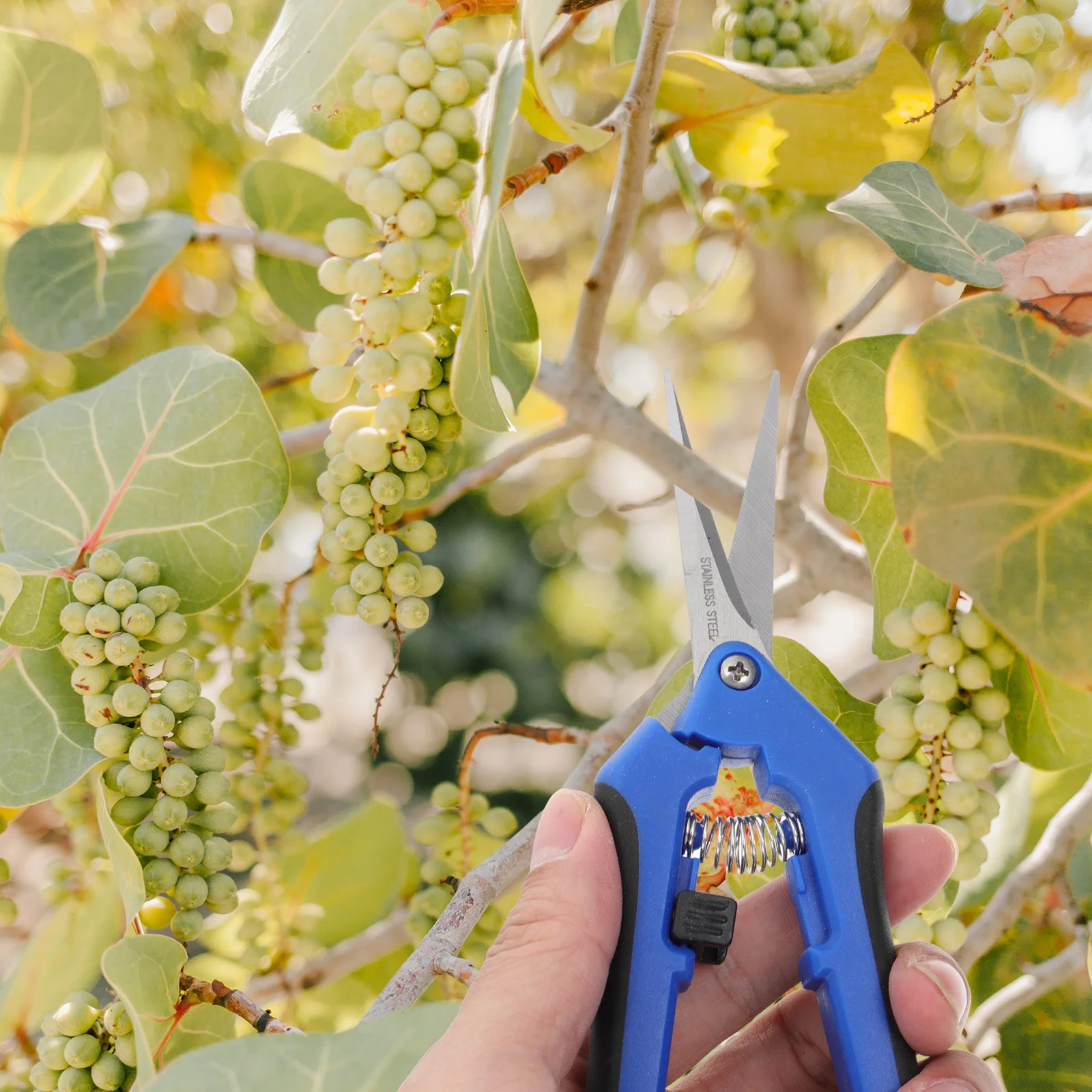 2 قطعة مقص تقليم الحديقة القوي استخدام طويل الأمد عملية بسيطة تحسين كفاءة العمل مريحة حمل التقليم القاطع