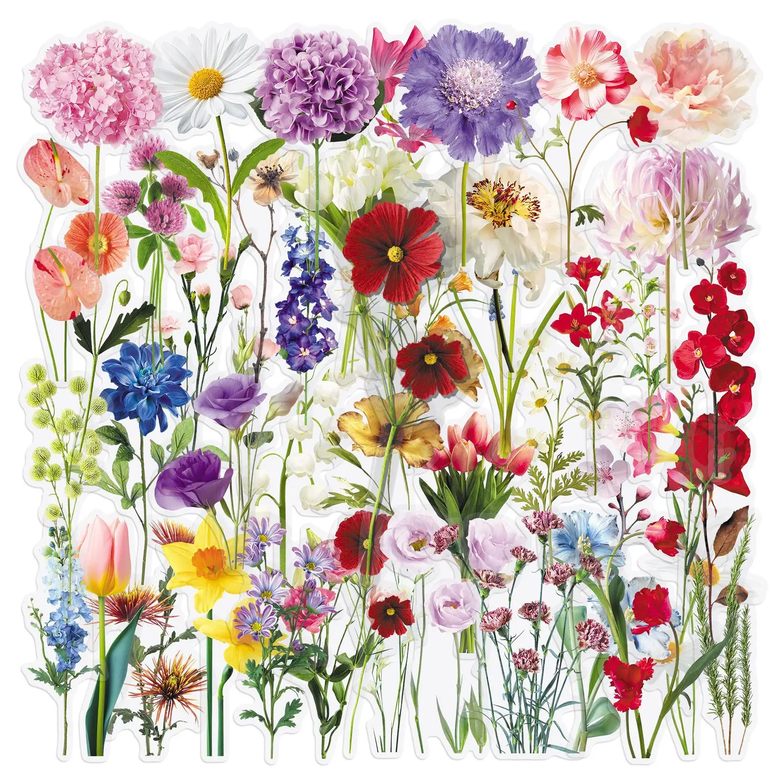 50/100PCS Adesivos Transparentes de Flores Realistas, Pequenas Flores Frescas, Decoração para Livros, PET à Prova d'Água, DIY