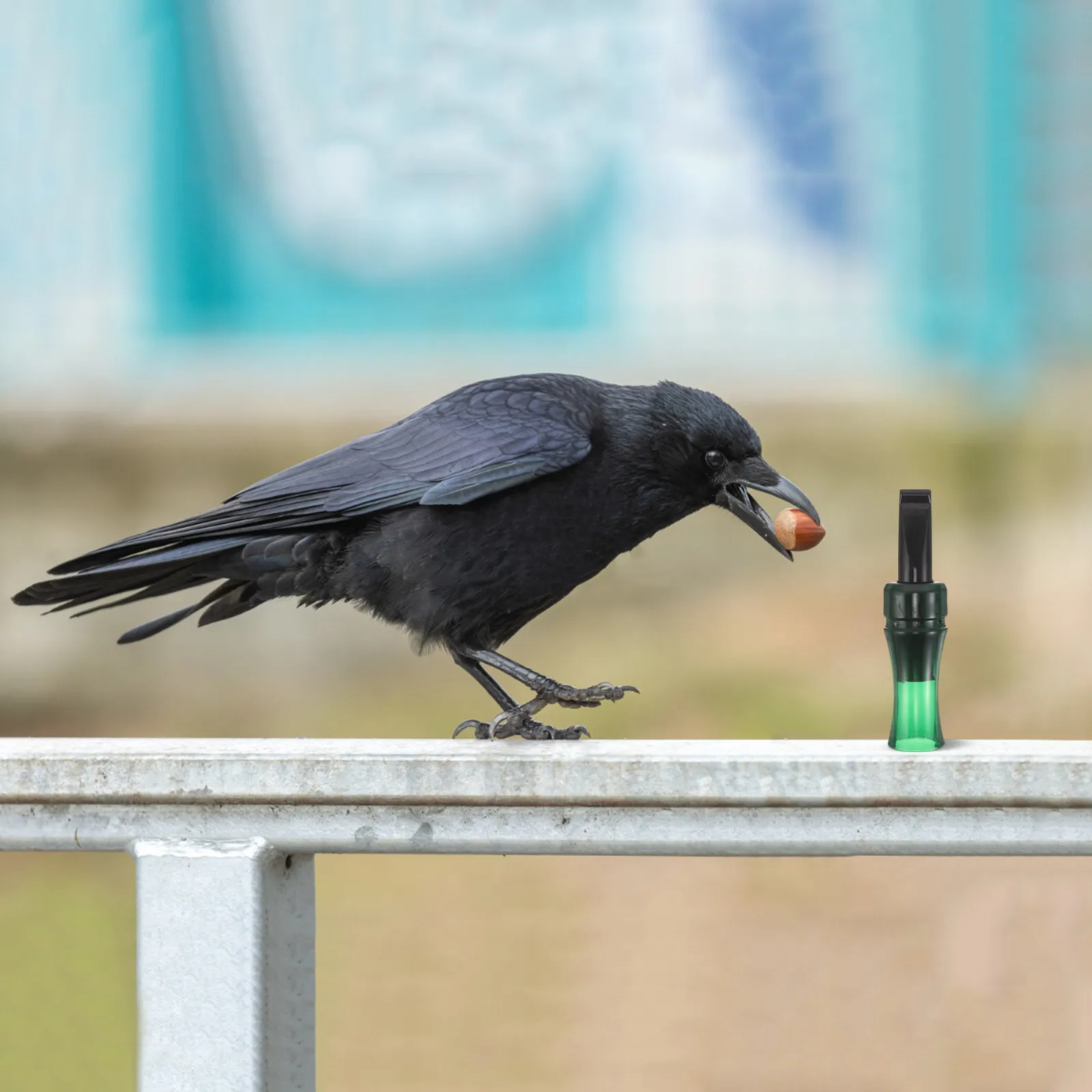 

Crow Call Whistle for Attracting Crows, Realistic Bird Sound Device with Sturdy Plastic Build, Portable Outdoor Hunting and Bird
